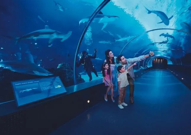 Best Integrated Resort - Resorts World™ Sentosa Singapore