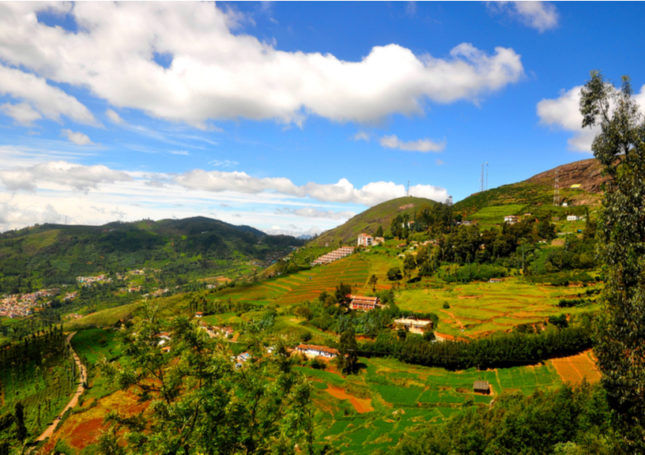 Ooty