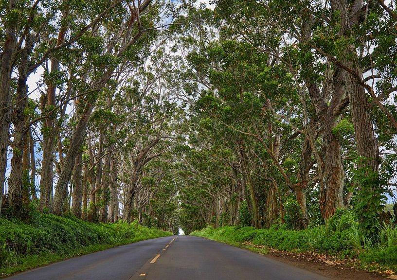 Stunning Small Towns In Hawaii To Visit On Your Next Vacation