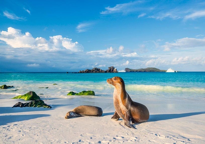 Galápagos Islands