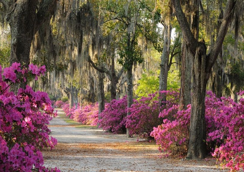 Romantic getaways