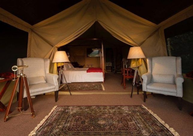 The Bison Resort