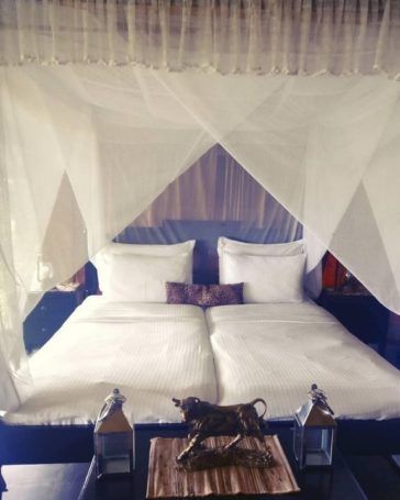 The Bison Resort, Kabini