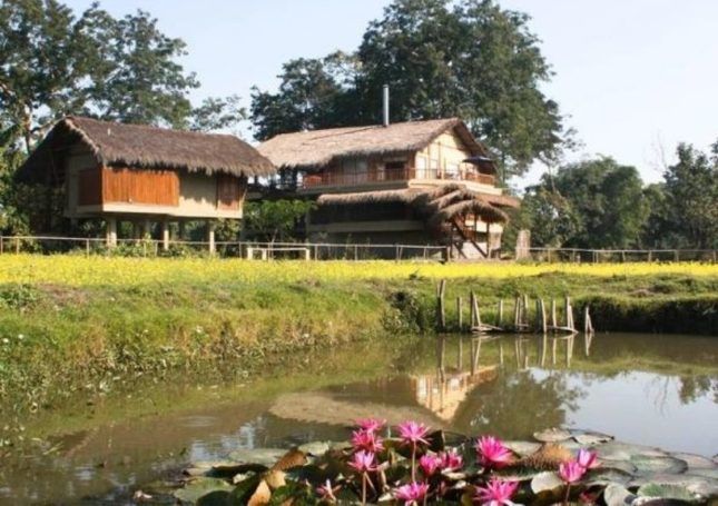 Diphlu River Lodge