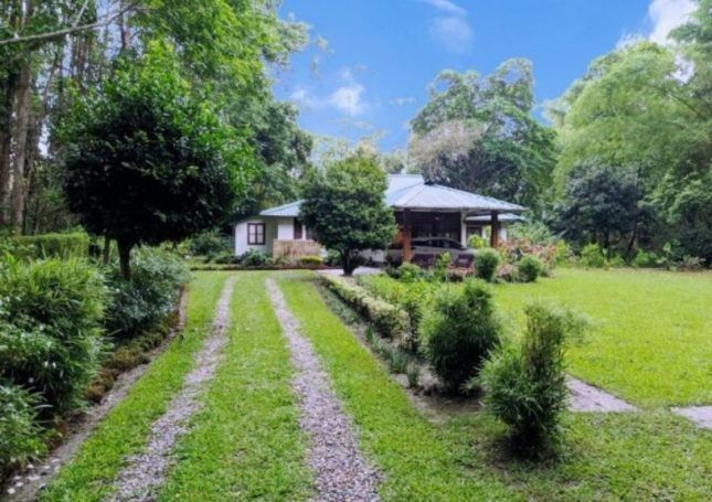 Wild Mahseer Eco Resort