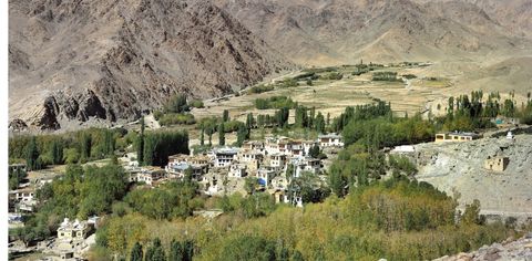 We Get The Taste Of The Local Life In Ladakh Through Our Immersive Travel Experience