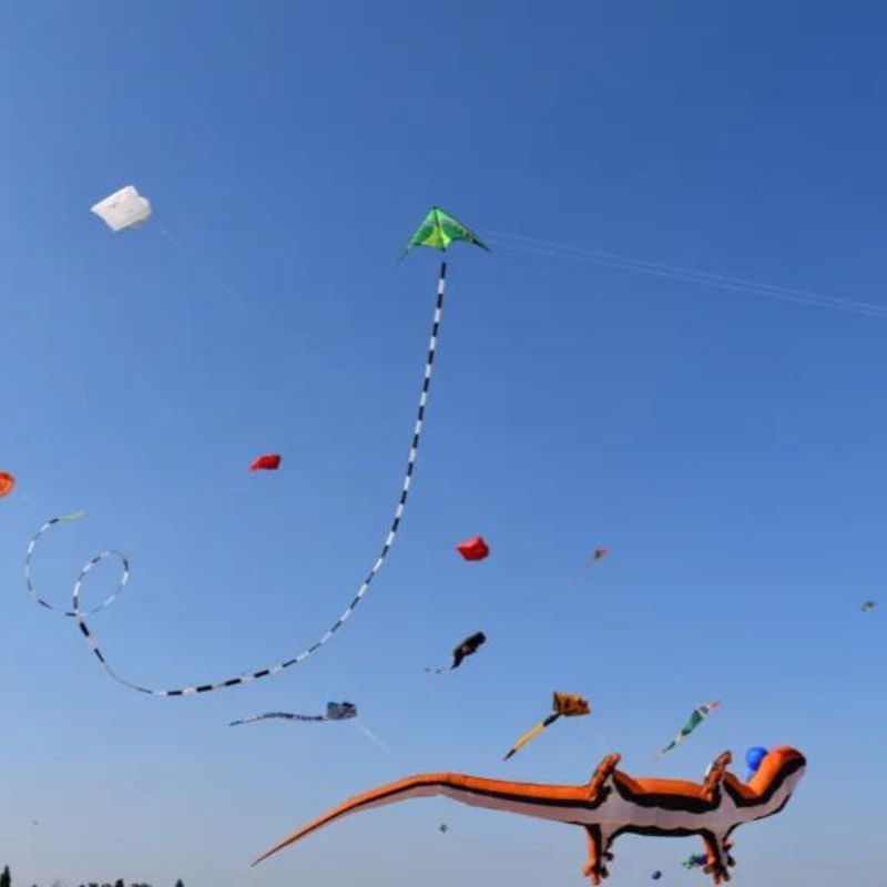 These Cities In India Celebrate Makar Sankranti Like No Other