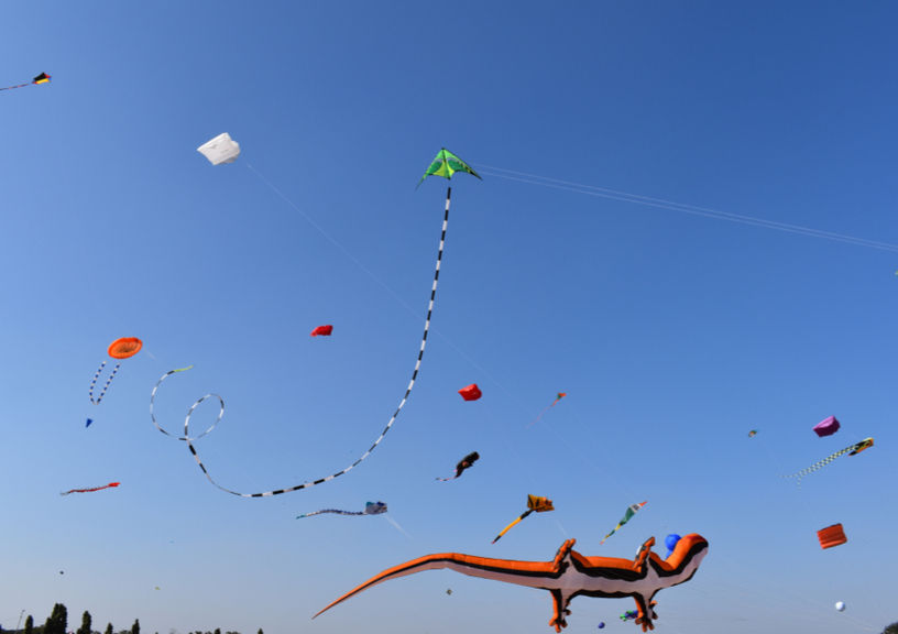 makar sankranti