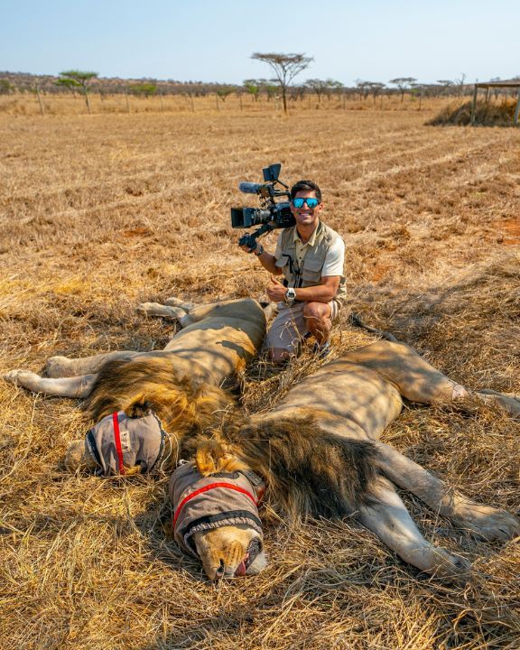 Virtual safari