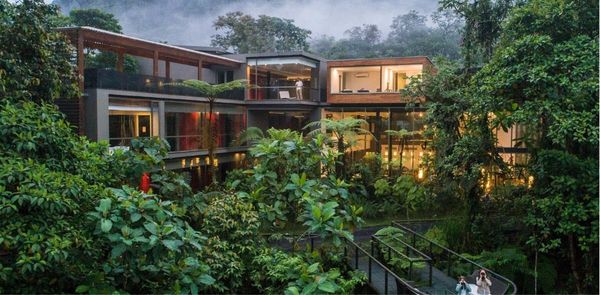 6 Gorgeous Rain Forest Hotels — From Glamping Retreats To Tree House Stays