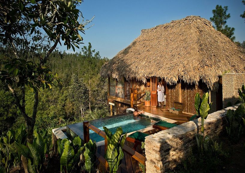 rain forest hotel