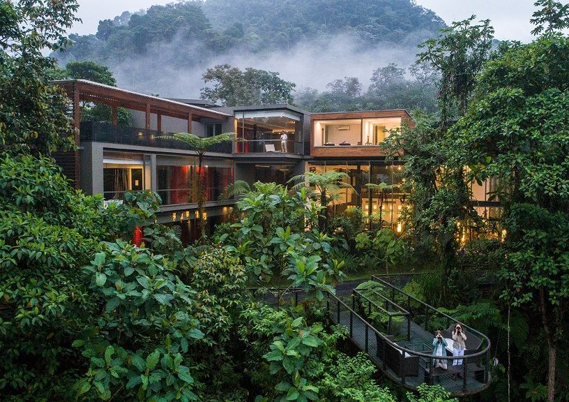 rain forest hotel