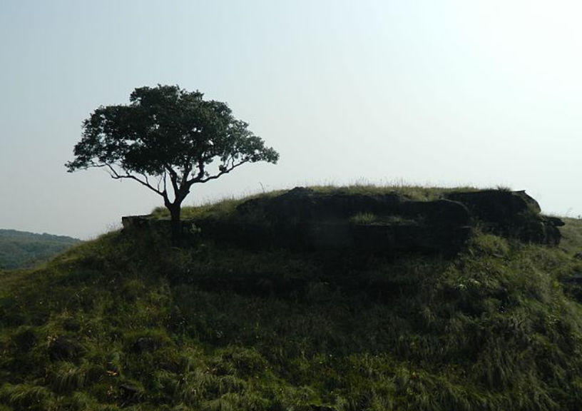 Balpakram National Park