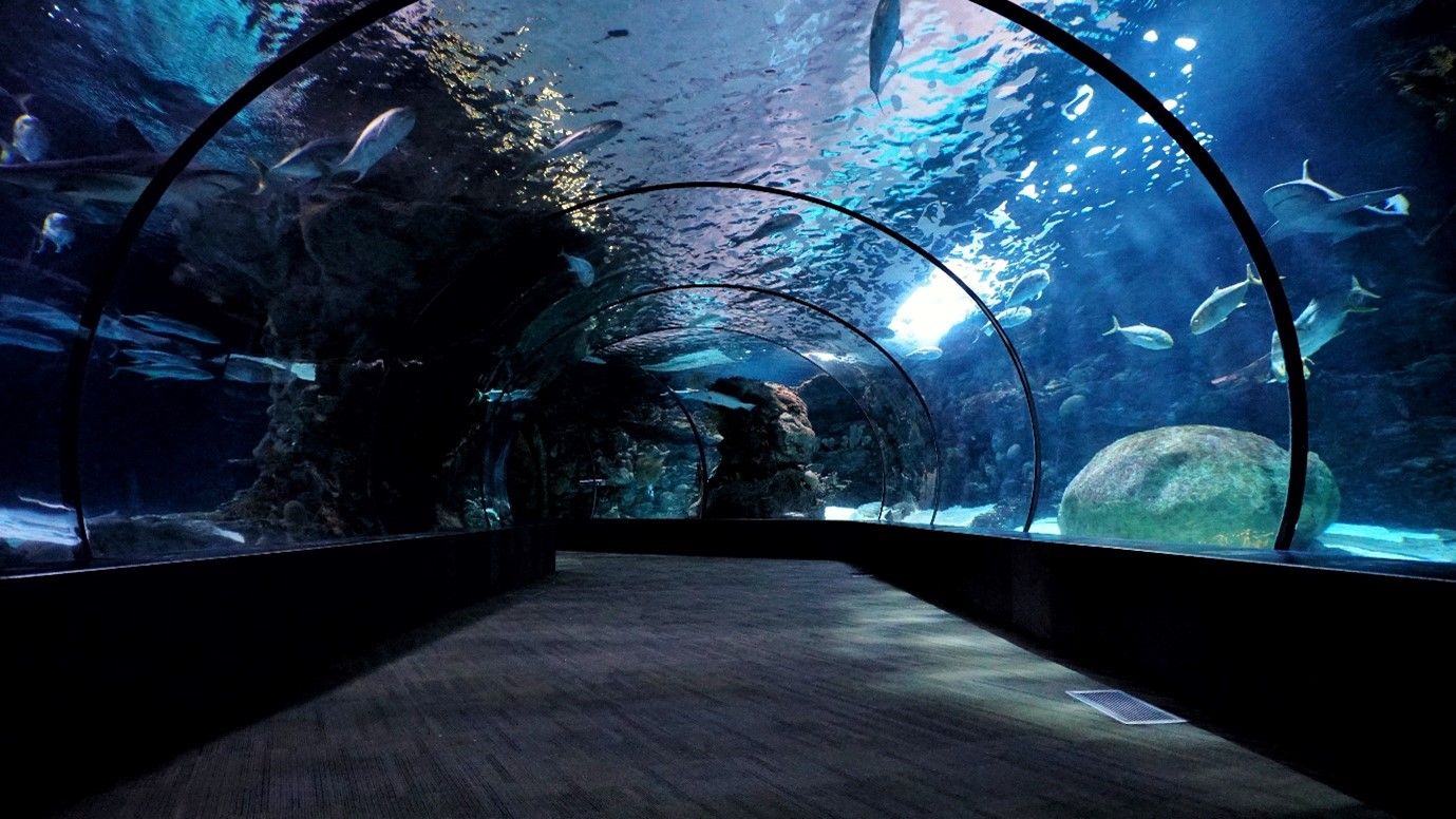Malaysia Kuala Lumpur landmarks: Aquaria KLCC