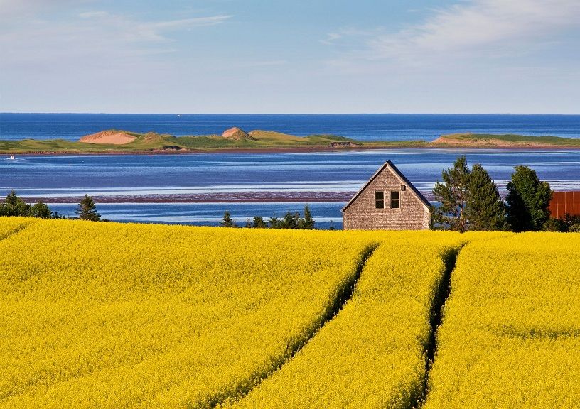 Walking route in Canada