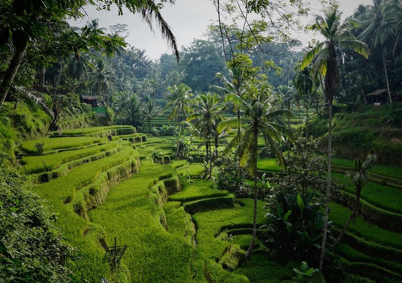 Bali