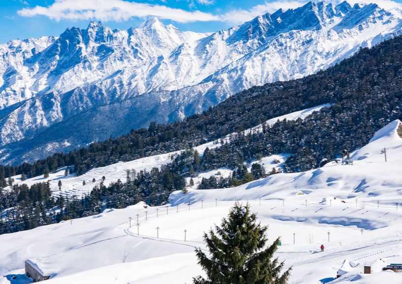 Auli