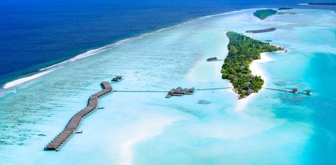 Trust LUX* South Ari Atoll To Create The Maldivian Vacation Of Your Dreams