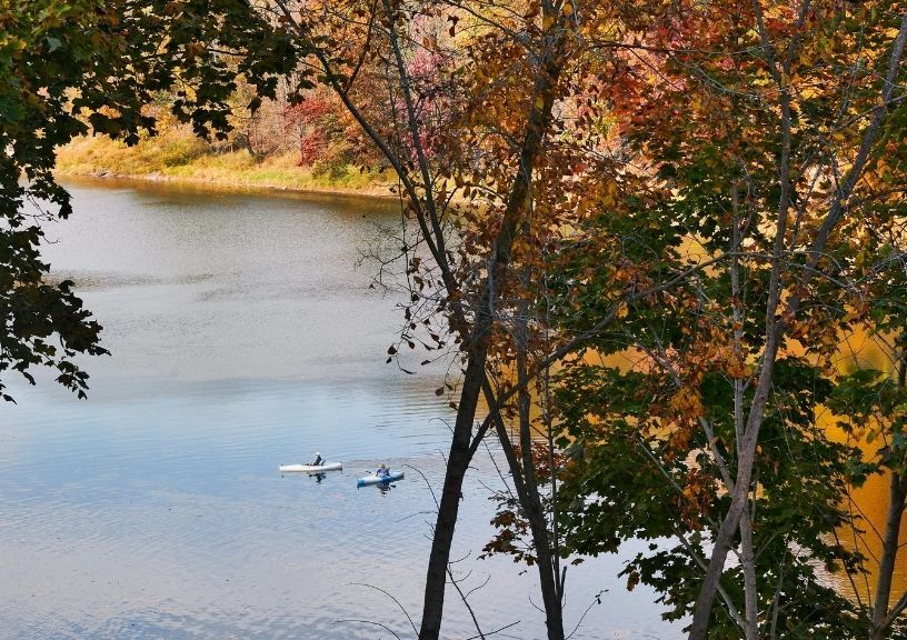 catskill