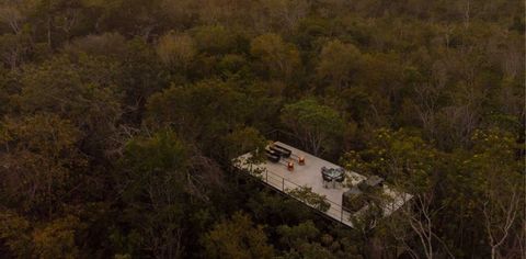 This All-Glass Cabin In The Mexican Jungle Is One Of The Most Stunning Airbnbs We've Ever Seen