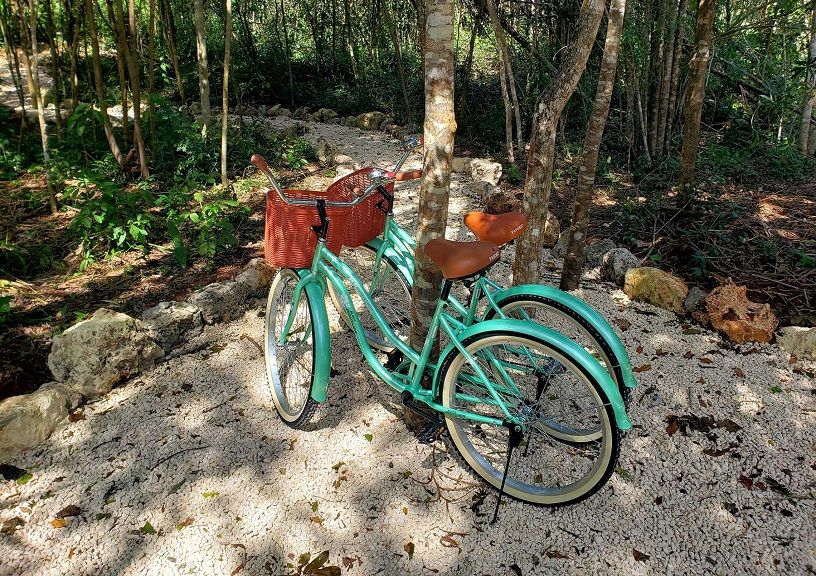 Mexico airbnb