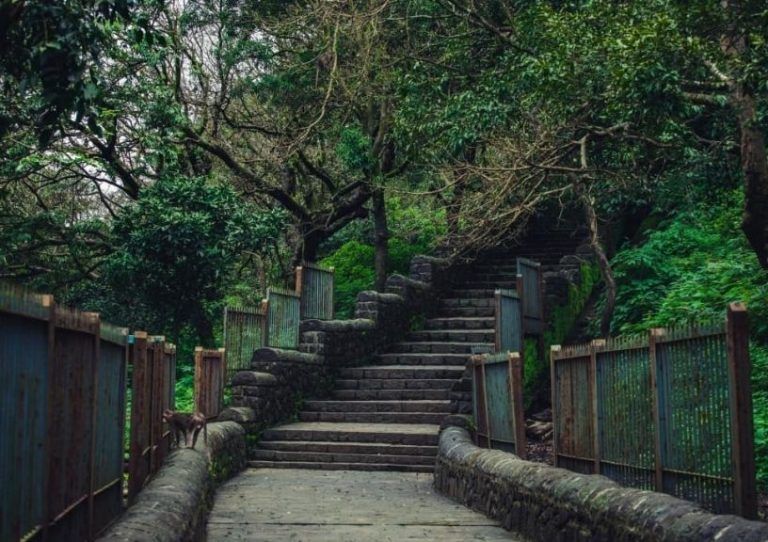8 Maharashtra Hiking Trails That Will Exhilarate The Trekker In You