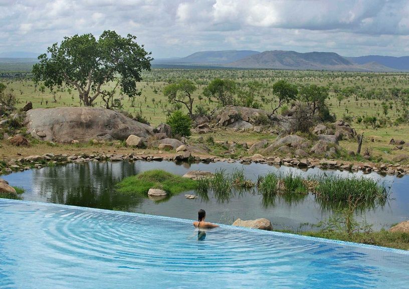 Luxury Safari
