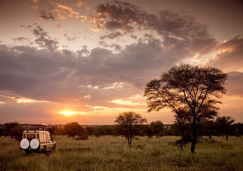 Luxury Safari