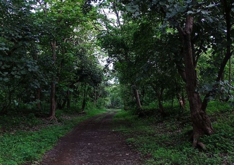 Gugamal National Park
