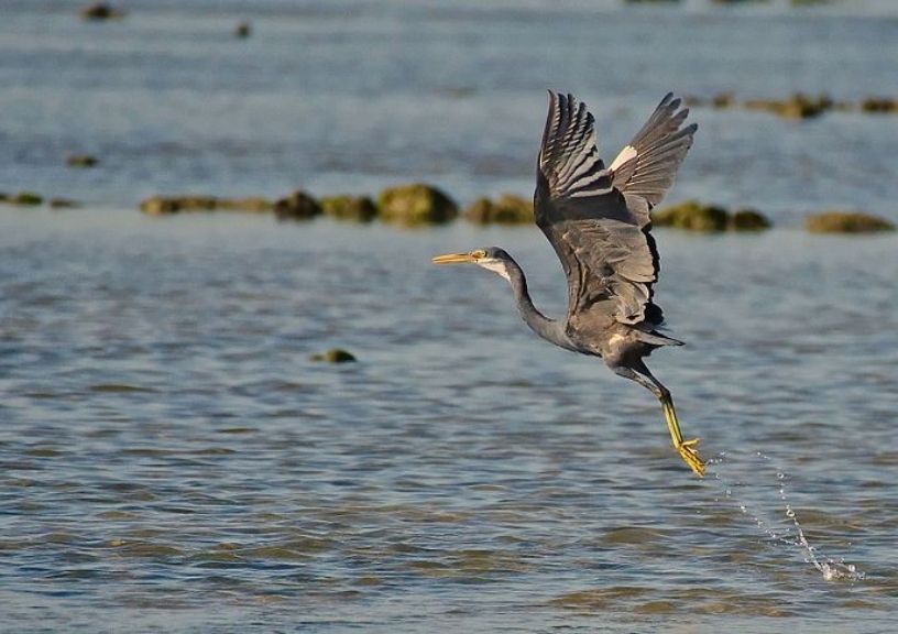 Marine National Park