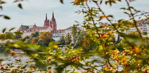 What To Do, Where To Stay And What To Eat In Basel, Switzerland
