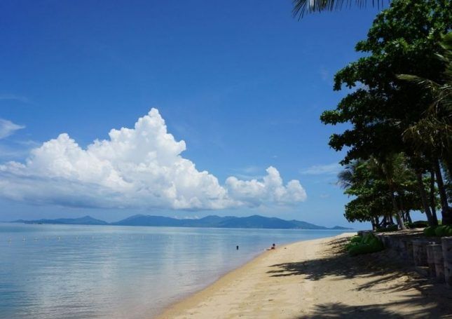 Bangkok and Koh Samui, Thailand