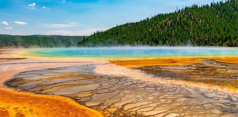 18 Things You Didn't Know About Yellowstone National Park