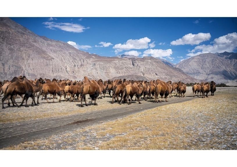Ladakh