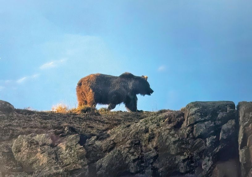 Ladakh