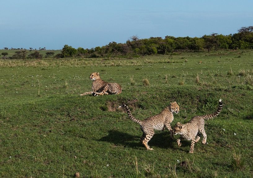 Kenya