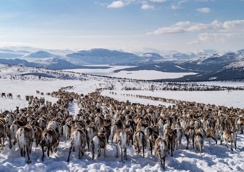 Swedish Lapland