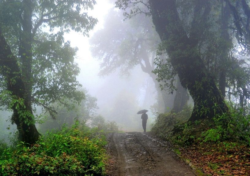 treks in West Bengal: Neora Valley