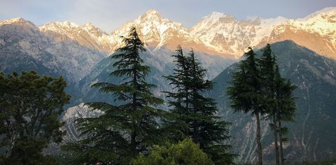 9 Hidden Gems In Himachal Pradesh To Explore On Your Next Vacation
