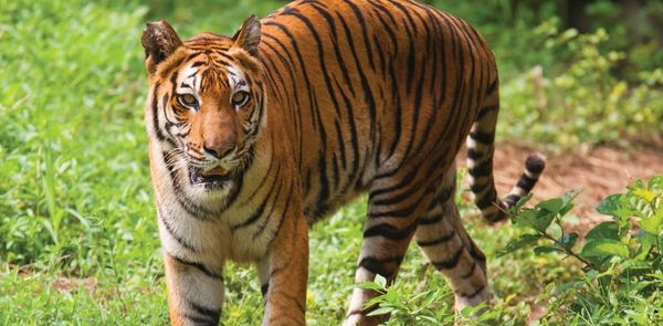 10 Places Within 200 Kilometres Of Kolkata That Make For The Perfect Weekend Getaway