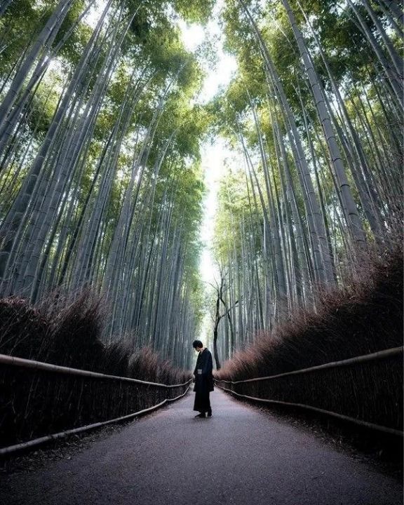 Asian photographers