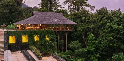 The 14 Most Beautiful Jungle Hotels Around The World