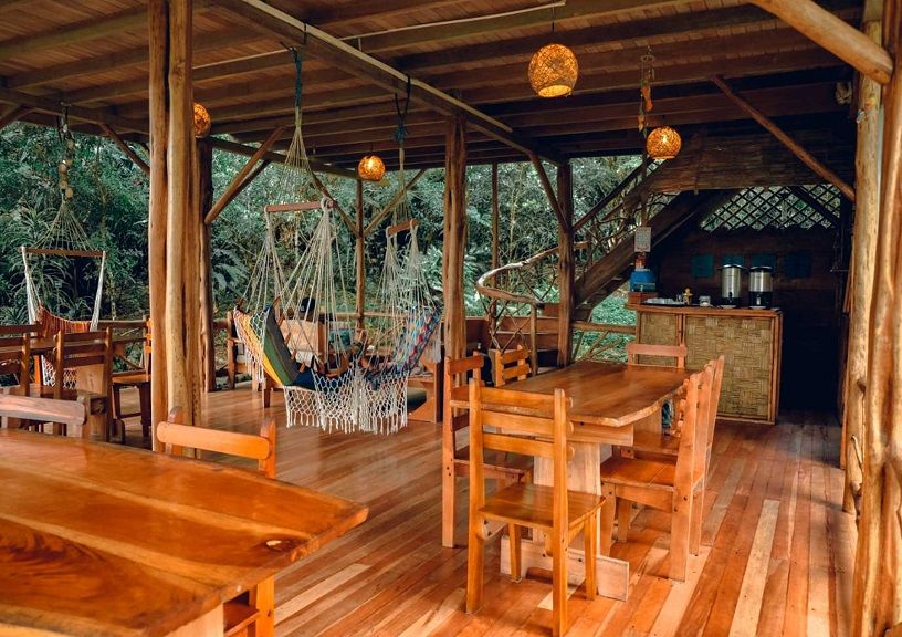 Jungle Hotels