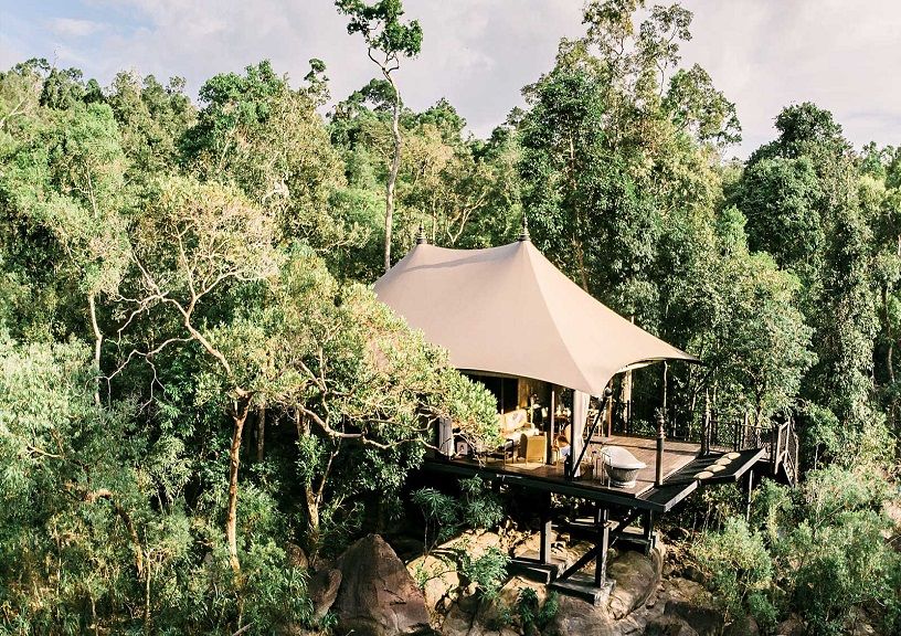 Jungle Hotels