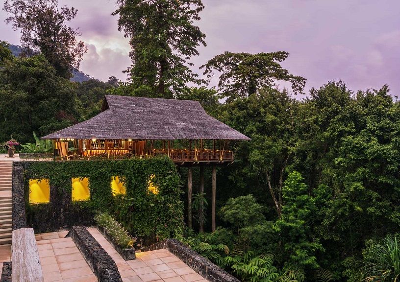 Jungle Hotels