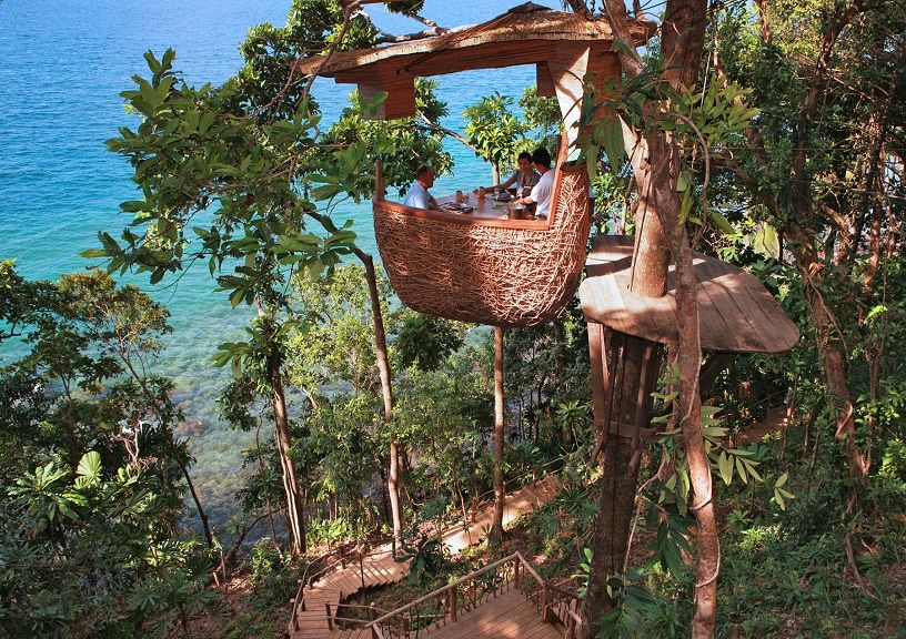 Jungle Hotels