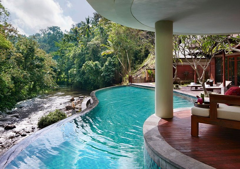 Jungle Hotels