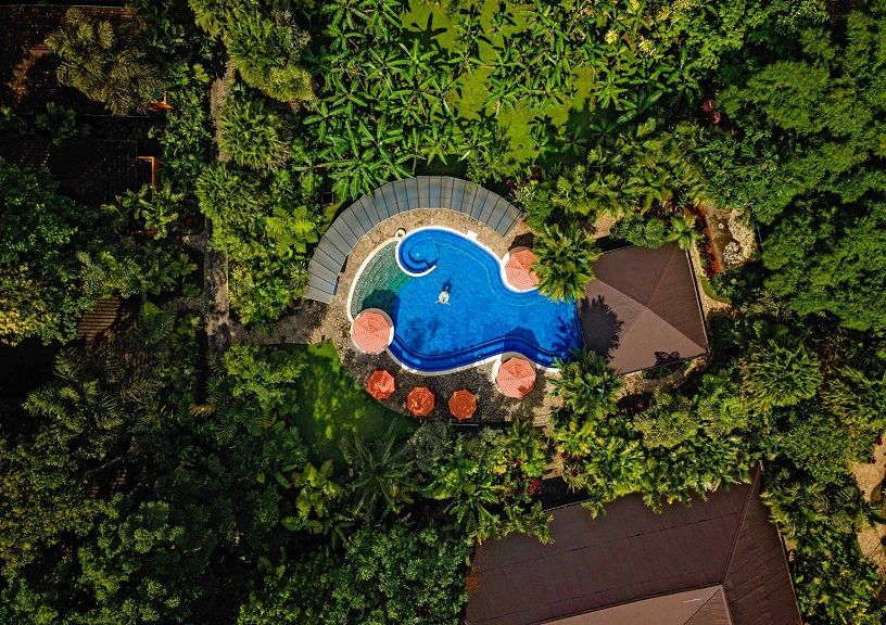 Jungle Hotels
