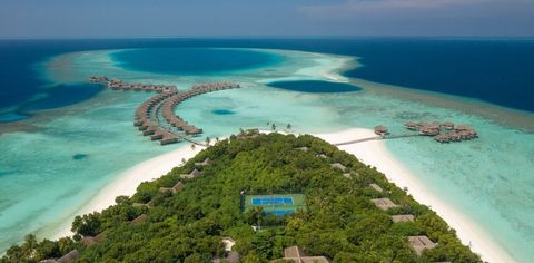 Looking For Romantic Holidays On A Tropical Island? Head To Vakkaru Maldives!