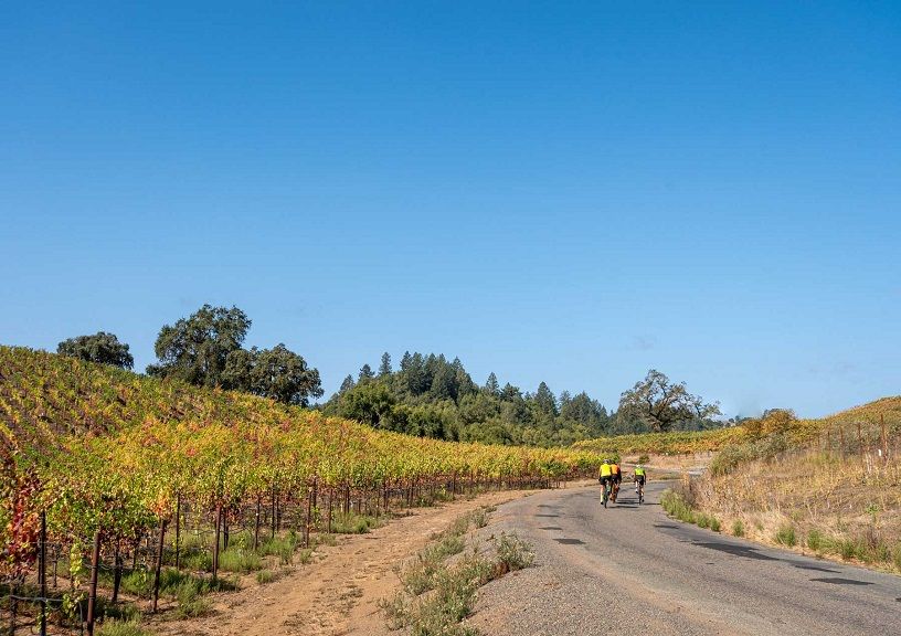 Food focused Bicycle Trips